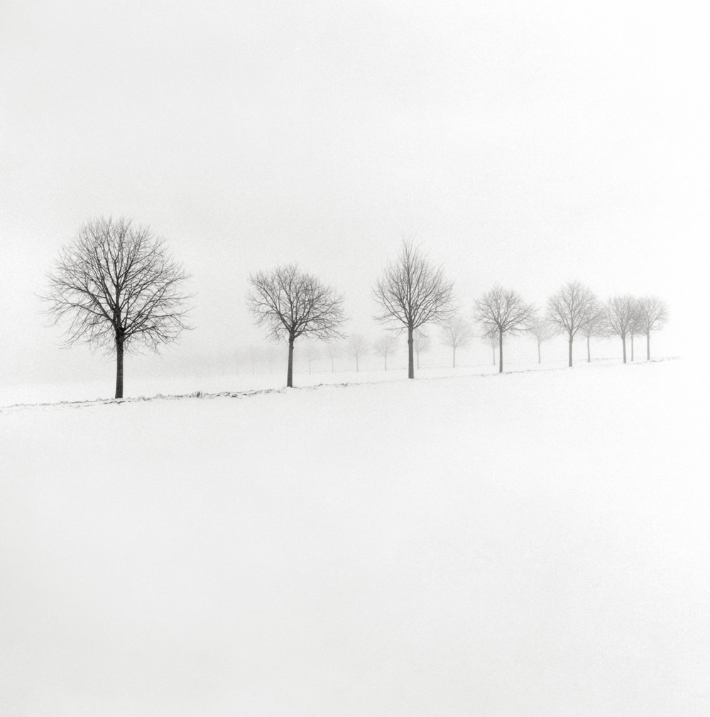 冬天最孤独宁静的雪景,每一张都令人惊叹