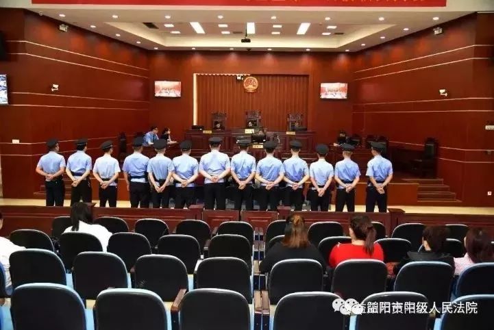 【政法关注】为法治益阳谱写公平正义华章_刑事犯罪