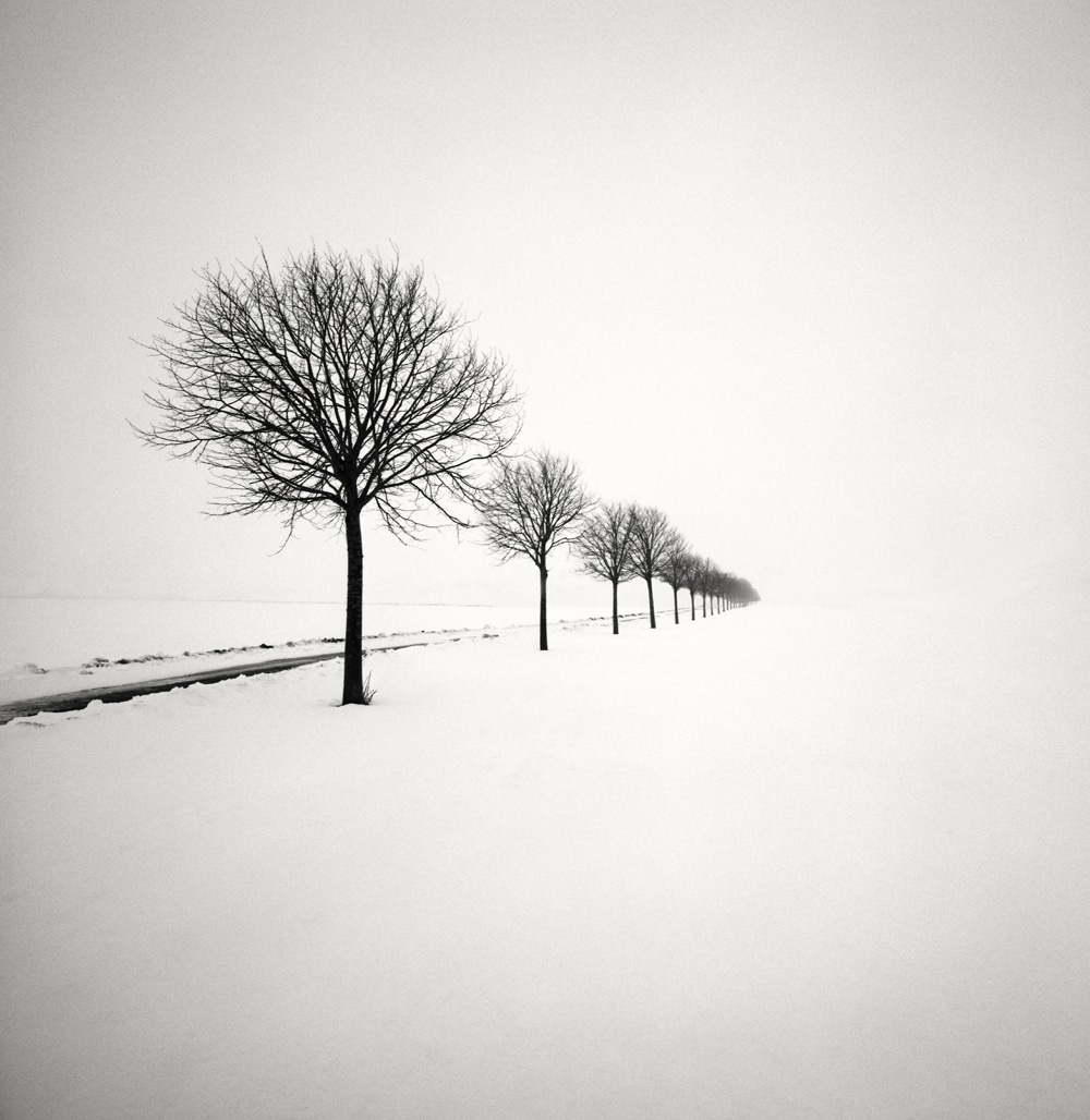 冬天最孤独宁静的雪景,每一张都令人惊叹