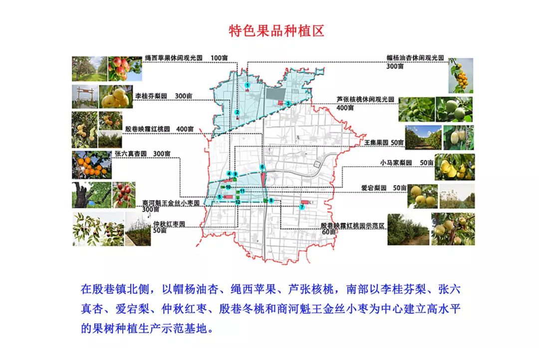 振兴蓝图来了——殷巷镇乡村振兴发展规划顺利通过专家团评审