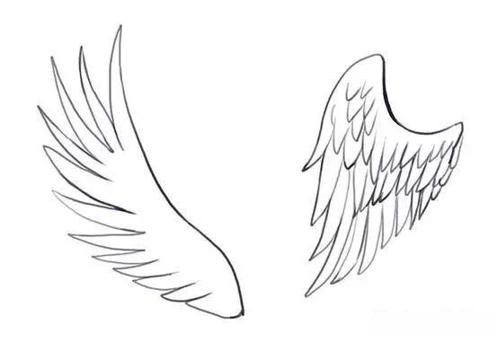 翅膀怎么画翅膀绘画详细教程