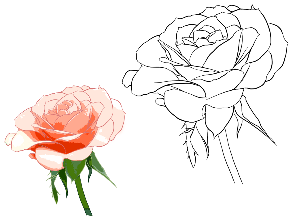 手绘蔷薇花设计图片素材装饰装修素材免费下载(图片编号:4560401)-六图网