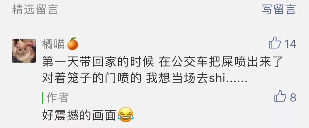 有狗狗了還想著養二胎？這後果...你真的想清楚了嗎？！ 萌寵 第46張