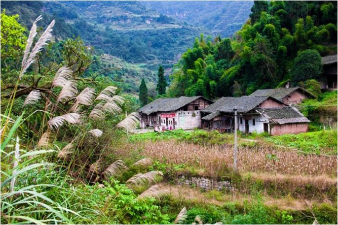 綦江区中峰镇人口_綦江中峰镇龙山水库