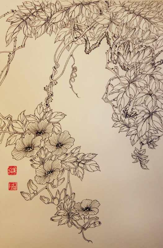 9,叶志军的钢笔画第八百四十一幅——凌霄花(硬笔白描花卉习作)8