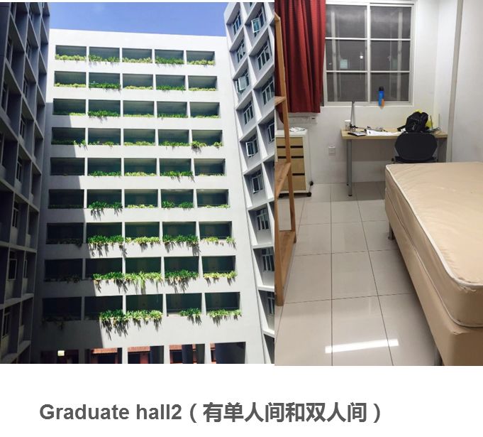 在南洋理工大学就读是一种怎样的体验