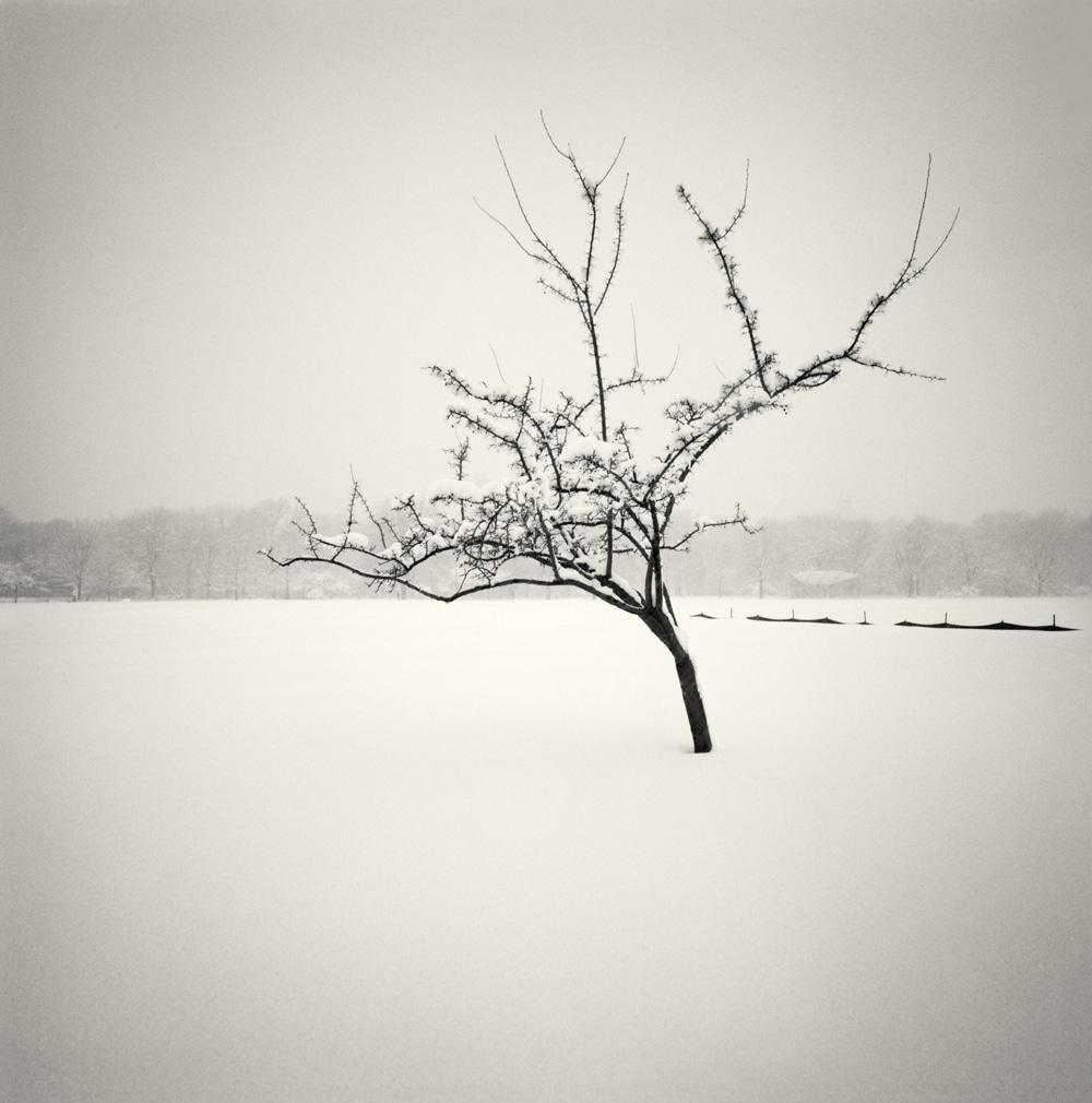 冬天最孤独宁静的雪景,每一张都令人惊叹