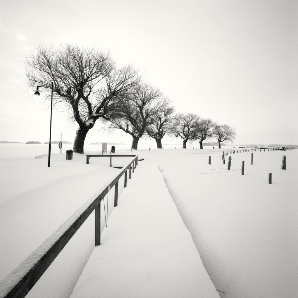 冬天最孤独宁静的雪景,每一张都令人惊叹