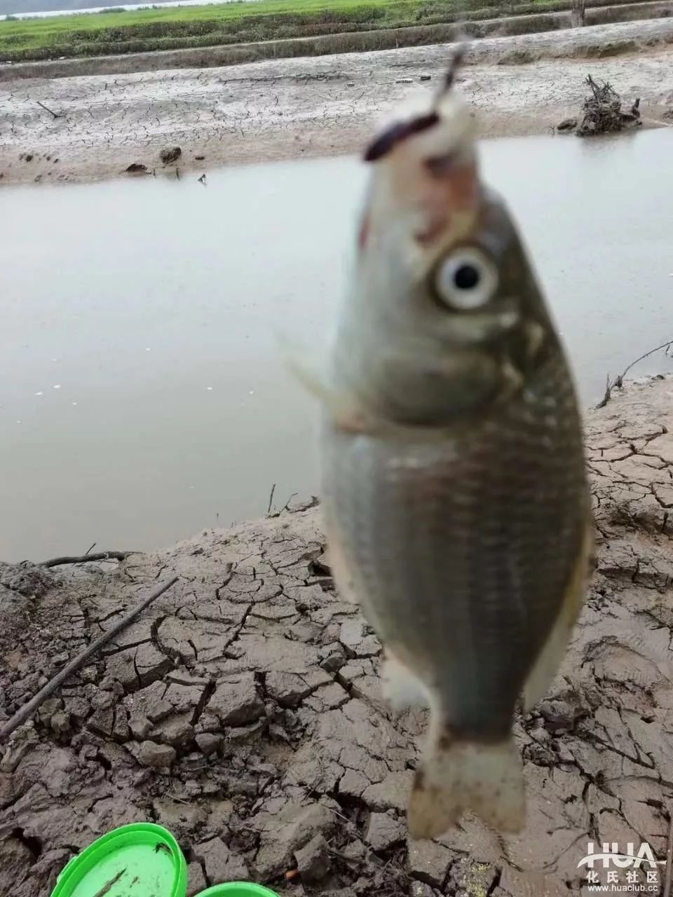 為了老婆的鯽魚湯，我發了半包煙！ 搞笑 第2張