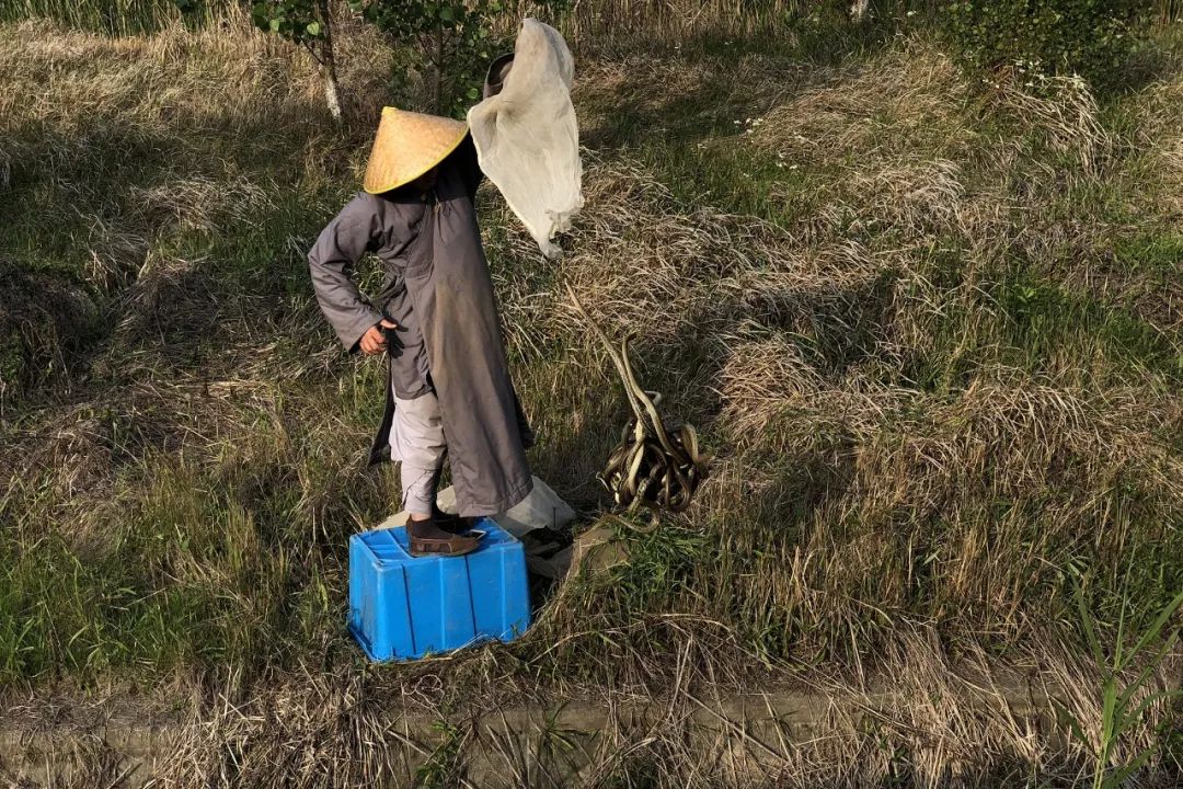 有人问过道禄一个问题