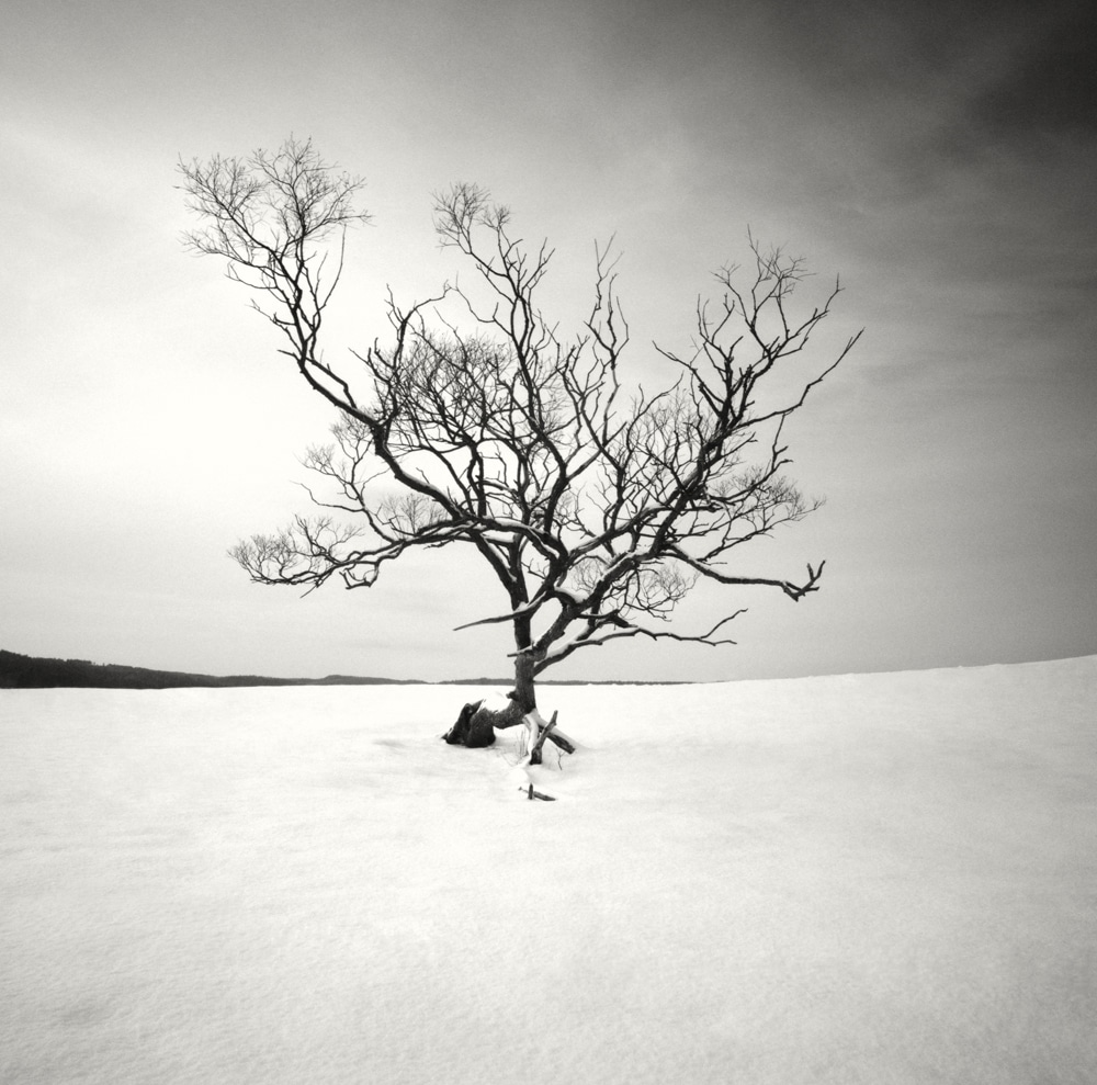 冬天最孤独宁静的雪景,每一张都令人惊叹