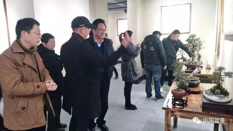 不一样的年会常德小微型盆景丶书法丶奇石联展掠影