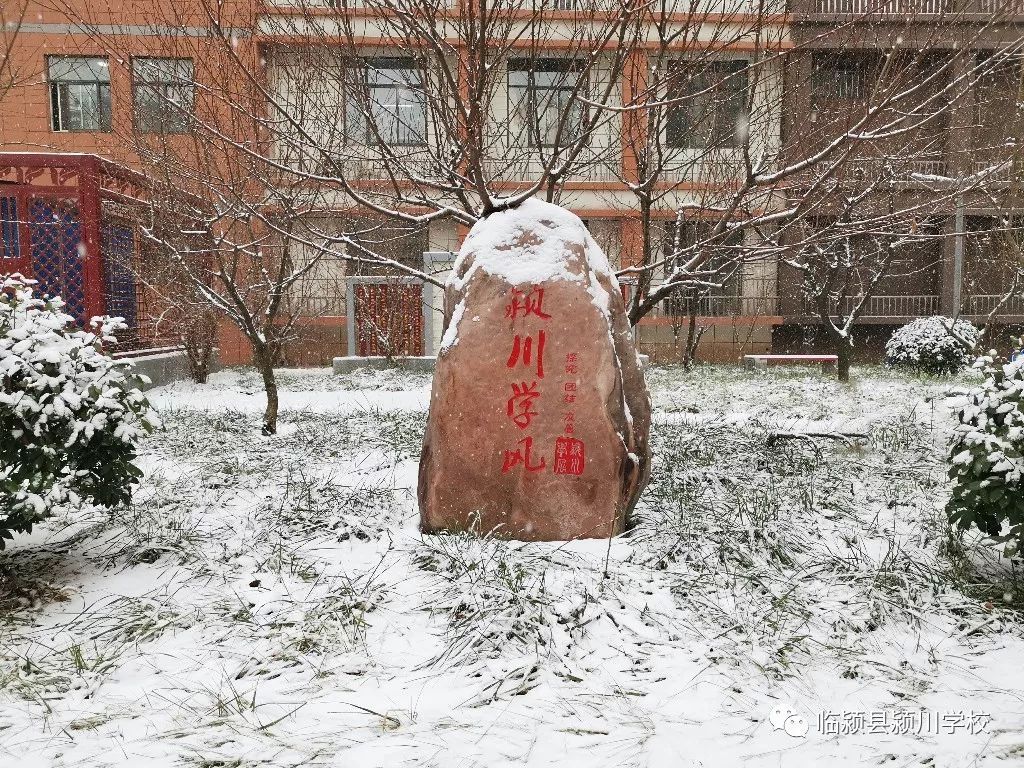 临颍:雪中颍川学校那一幕幕感人瞬间