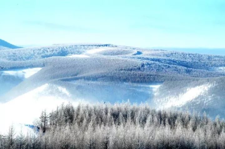 阿尔山的冬天,白雪皑皑的大地一片纯洁,玉树一样的冰棱,雾凇,玲珑剔透