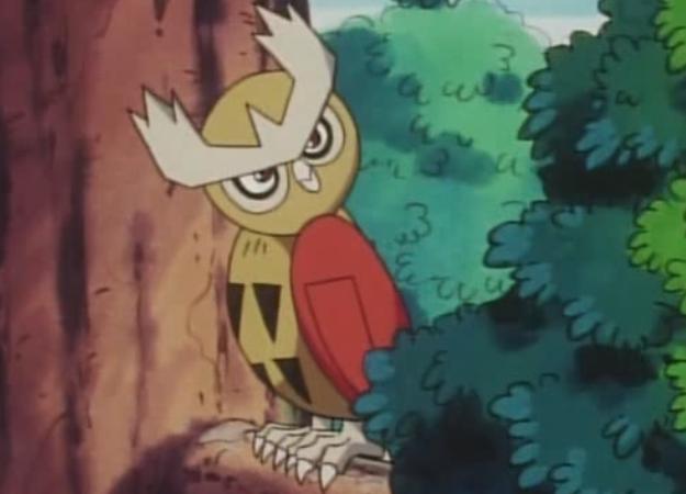 《精灵宝可梦》在动画中表现惊人的猫头夜鹰,为何对战却是冷门?