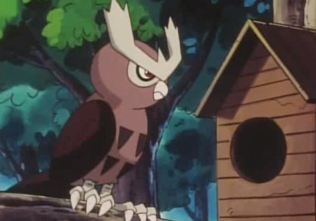 《精灵宝可梦》在动画中表现惊人的猫头夜鹰,为何对战