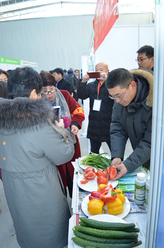 中国安全食品推广办公室在保定白沟揭牌