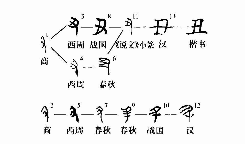 细说汉字:丑_甲骨文