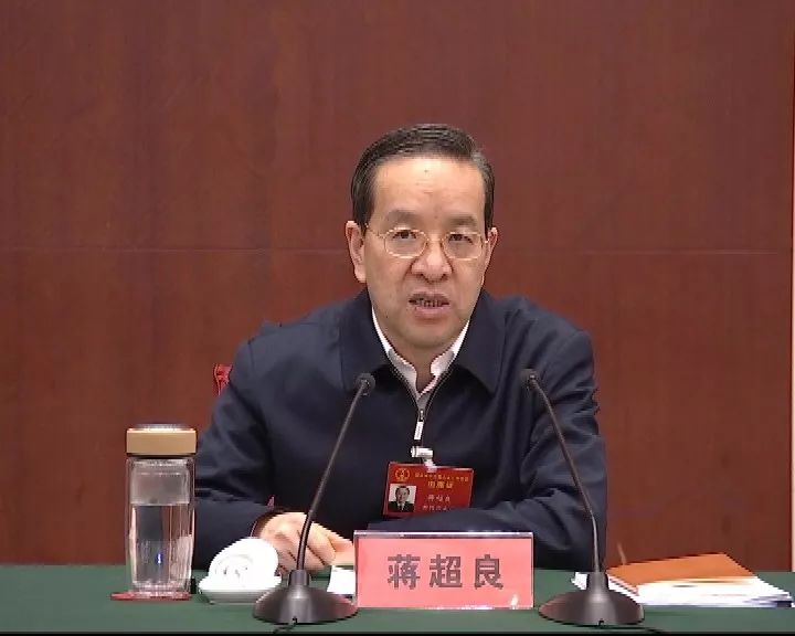蒋超良参加武汉代表团审议时提出:全力发挥龙头作用 不断提升核心竞争