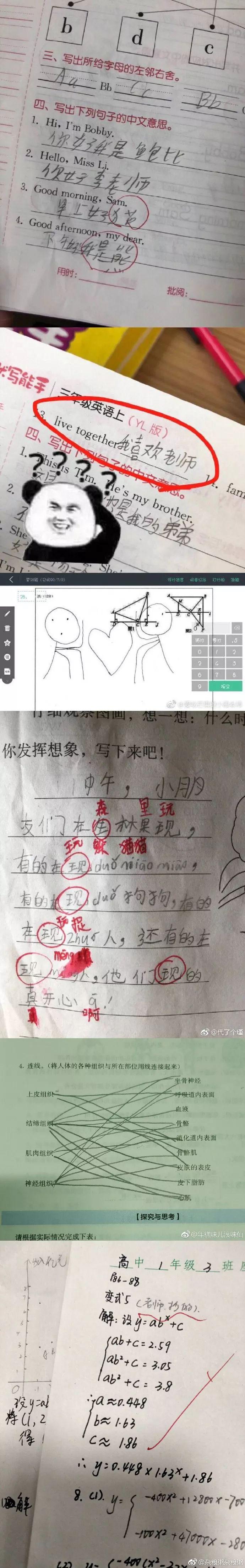 【组图】 沙雕作业大赏,带你真实感受"上辈子杀人这辈子教猪