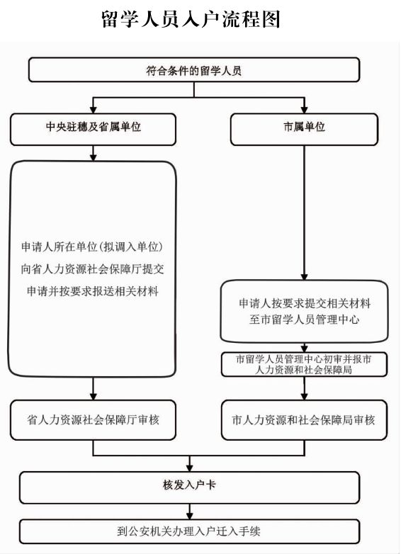 三枪内衣加盟流程_内衣美女