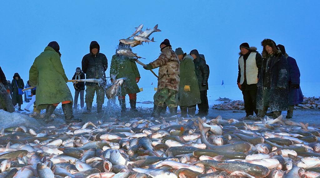 东北特殊鱼类：游一次泳价格翻好几倍游客争抢不断