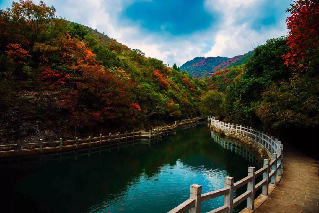 重磅喜讯万政太极峡景区荣登2018年度湖北旅游十大网络人气景区榜首