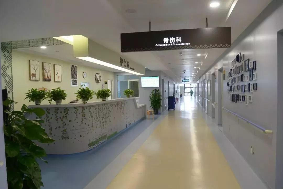 精准微创为患者"挺直腰板"——广西国际壮医医院开展区内首例全内镜下