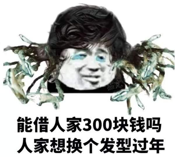 能借人家300块钱吗?人家想换个发型过年