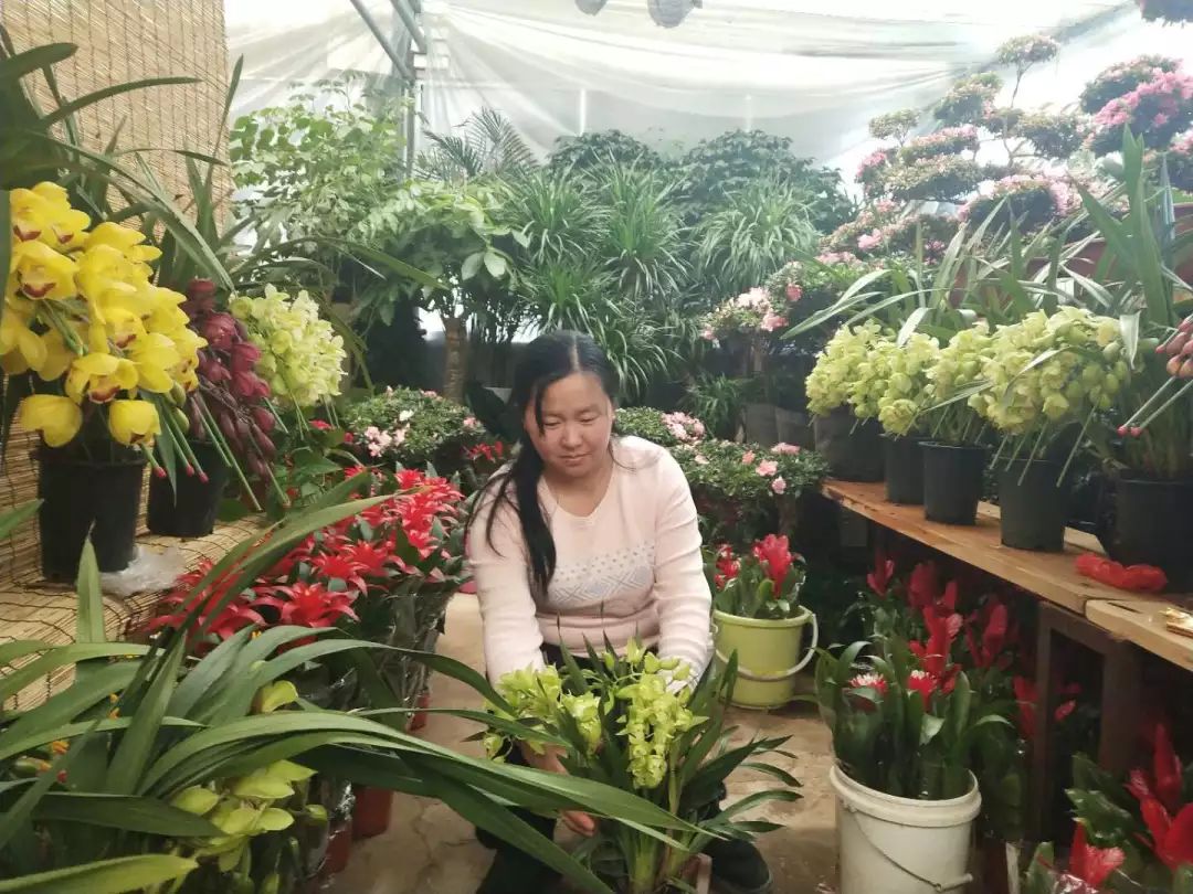 烟台春节买花 就到东方文化市场国际花卉苑