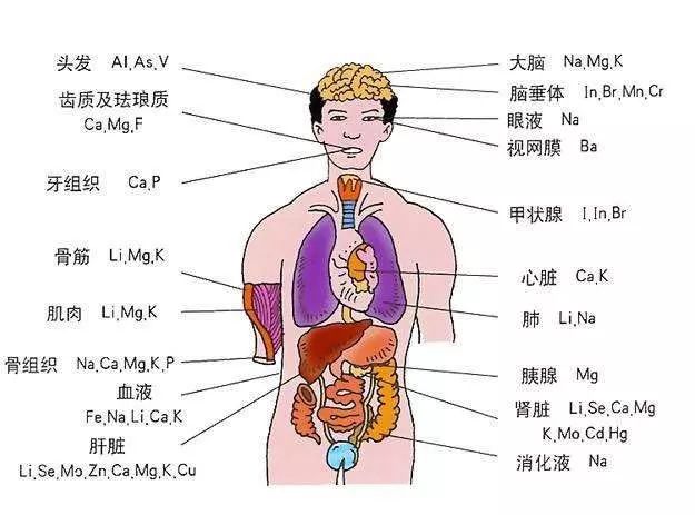 脚踝有筋包怎么办