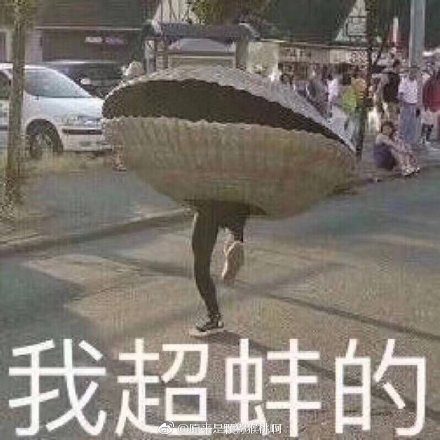 啊蚌说人口