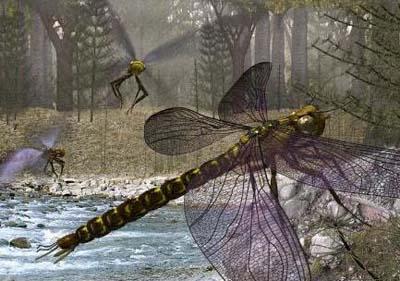 史上最大的飞行昆虫——巨脉蜻蜓