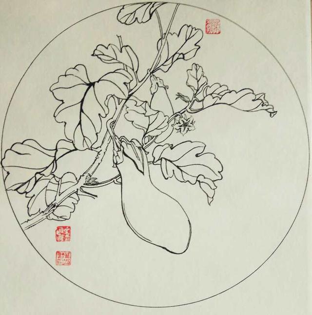 第八百四十四幅——茄子(硬笔白描花卉习作)