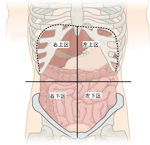 腹痛也要看地段这份腹痛地图告诉你不同区域腹痛的原因