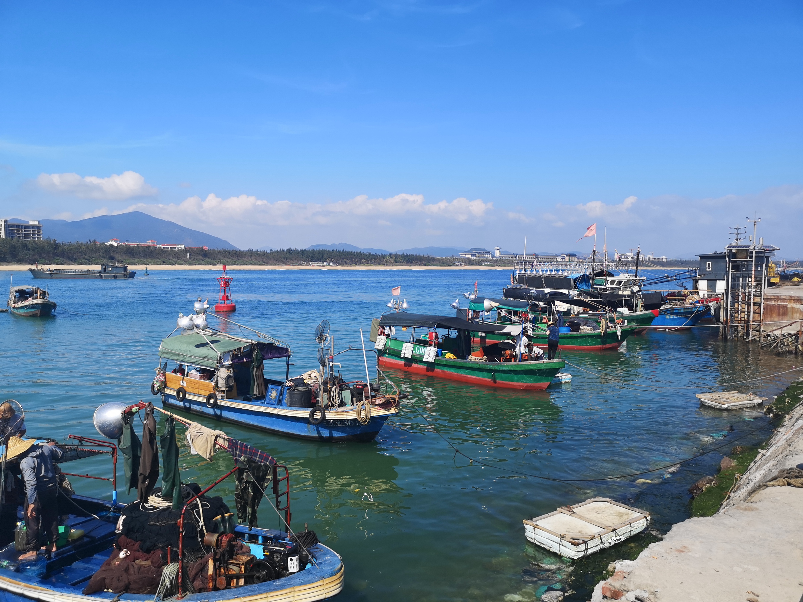 浙江有个世外小渔村，这里的美味海鲜，城里人永远吃不到_象山