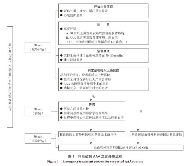 会议资讯 美国血管外科学会18 年腹主动脉瘤诊治指南解读 患者