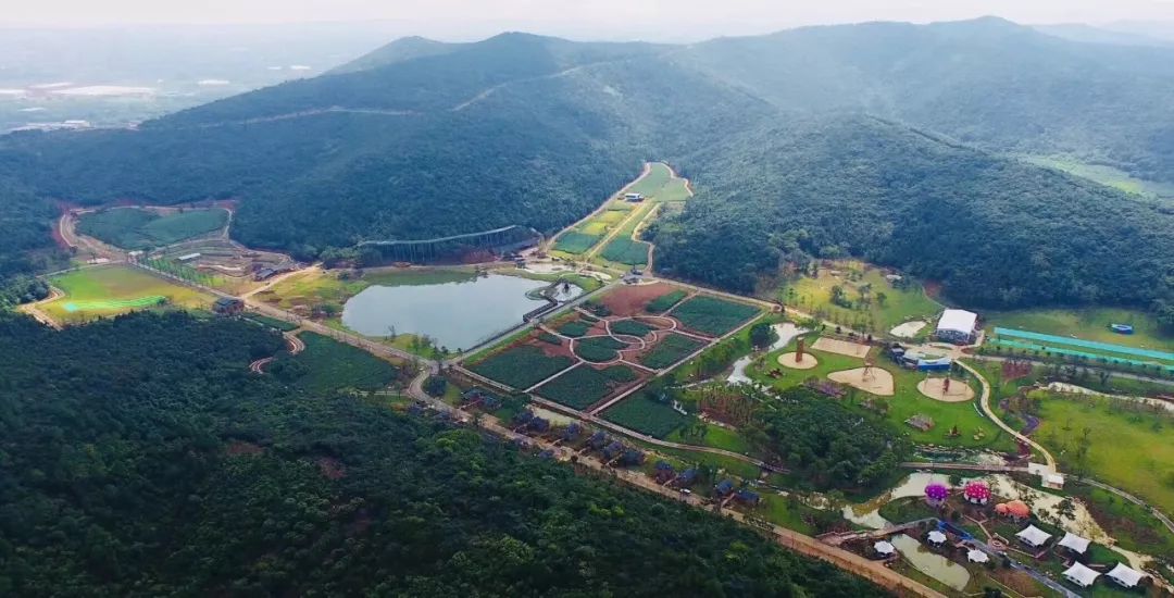 太湖湾露营谷濒临太湖,紧邻常州嬉戏谷