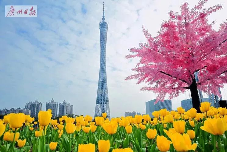 乐活丨今年广州花市即将开锣!灯光秀,"水上花园".等