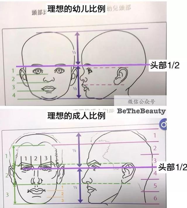 只用看你的眼睛位置,就知道你童颜还是成熟?靠谱吗?