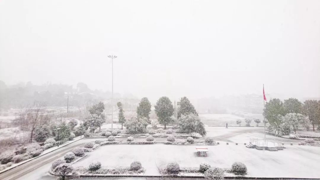 宁乡又下雪了!最新出行信息以及天气预报,拿走不谢.