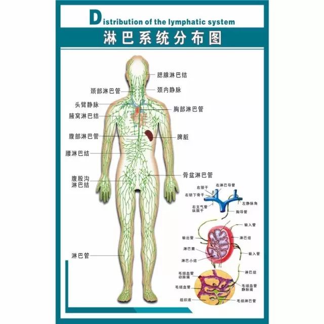 人体三处淋巴决定生死!这套淋巴按摩法,可救命!