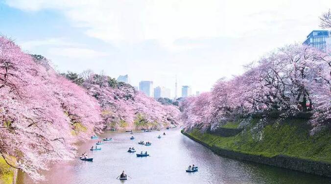 日本旅游哪个季节最好 日本适合旅行的季节 奈良