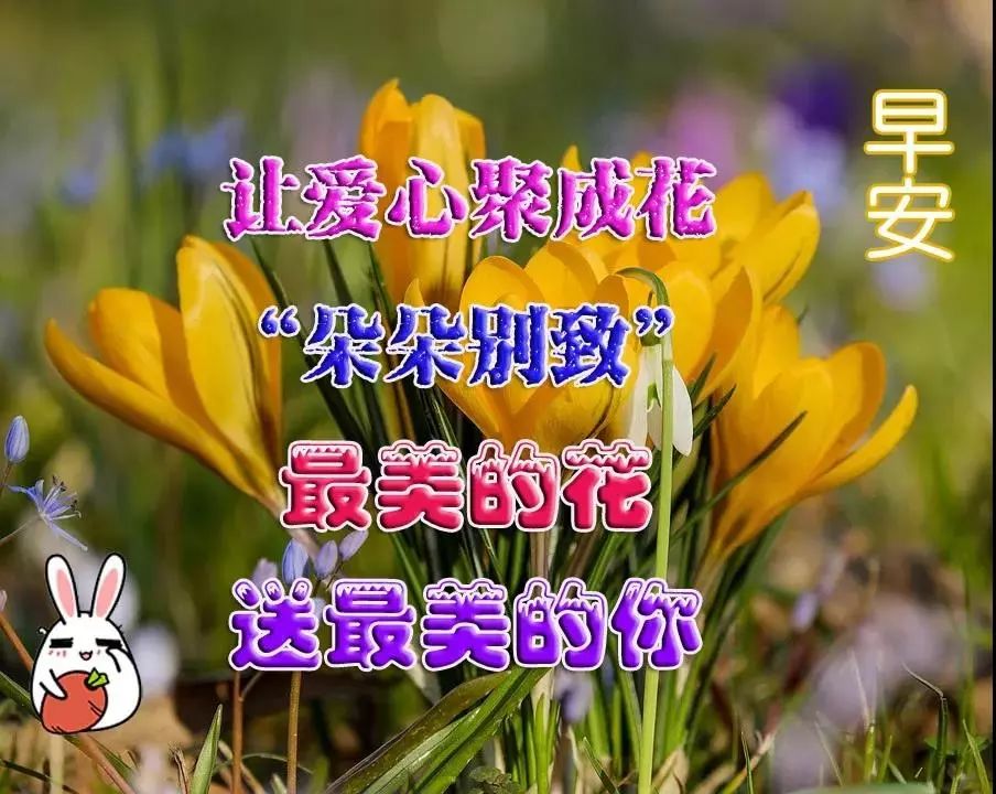 2019最新漂亮早上好问候动态表情图片 2019最美早晨好