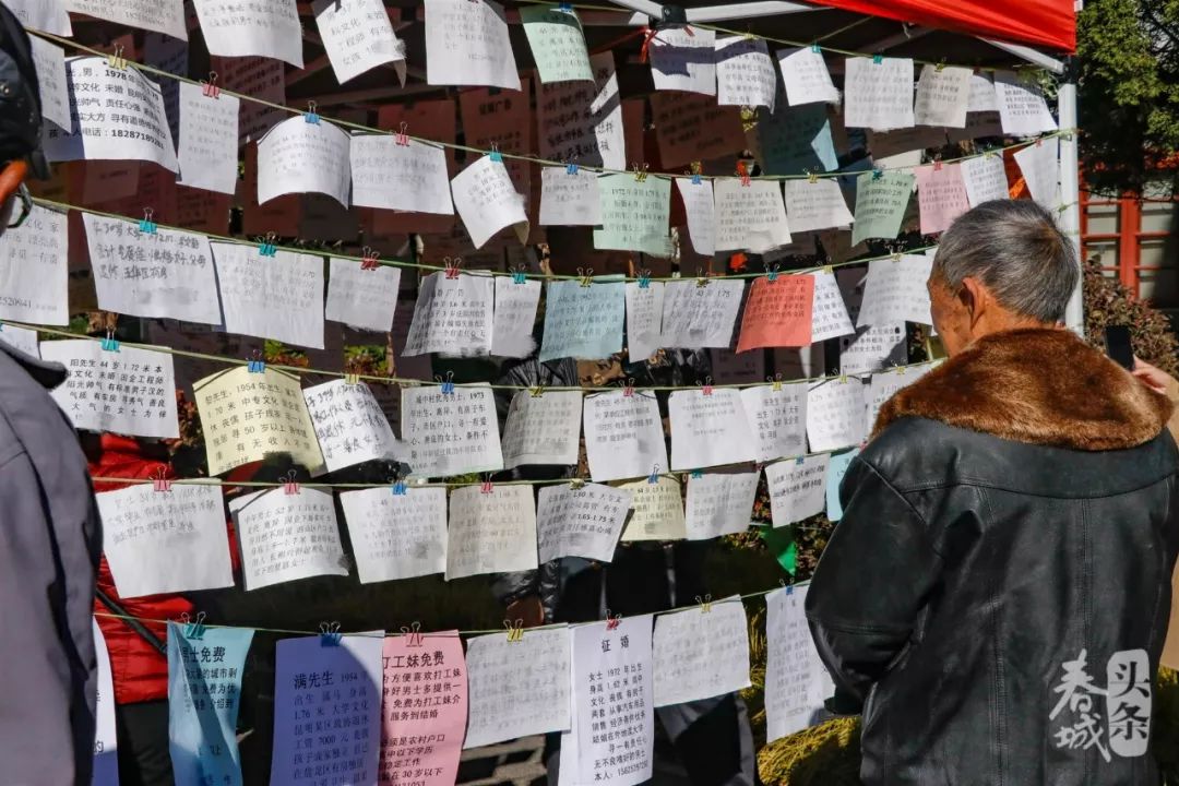 昆明弥勒寺公园相亲角大揭秘!年薪30万的男生没人要.