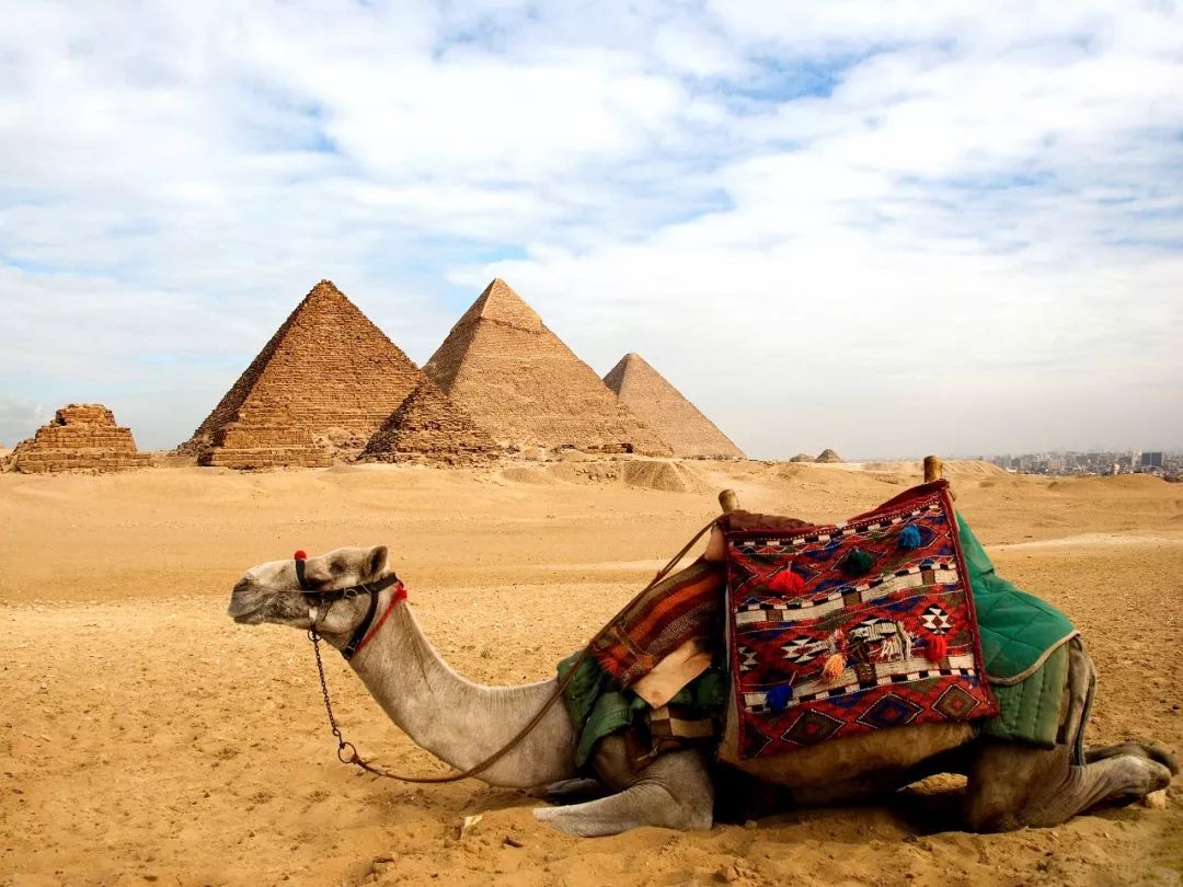 神秘的埃及到底有多传奇?踏上这片土地才知道.