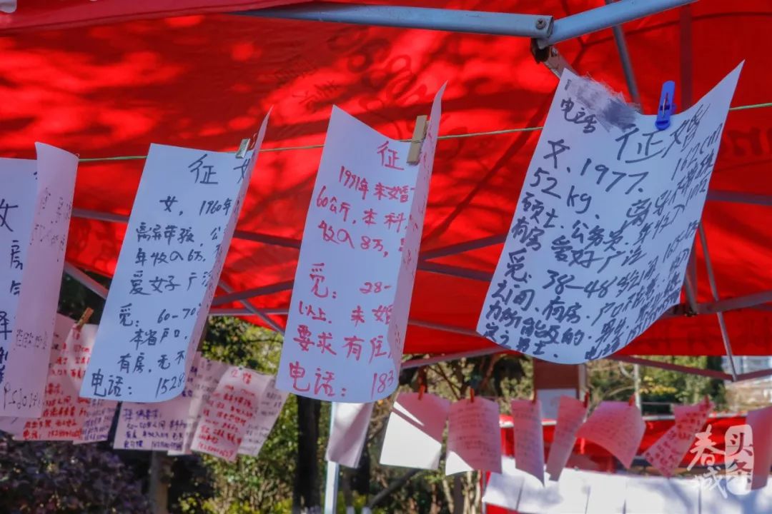 昆明弥勒寺公园相亲角大揭秘!年薪30万的男生没人要.