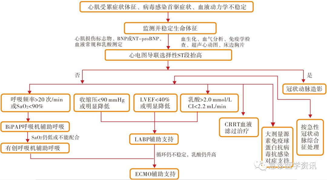 小小感冒怎会心脏停止跳动冬天要警惕爆发性心肌炎看医生会用什么神器