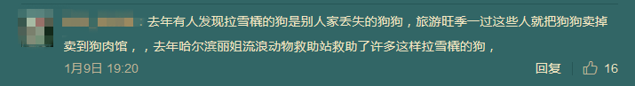 松花江結冰後，狗拉雪橇一個月竟然能掙2w？網友調查後揭開驚人真相... 萌寵 第15張