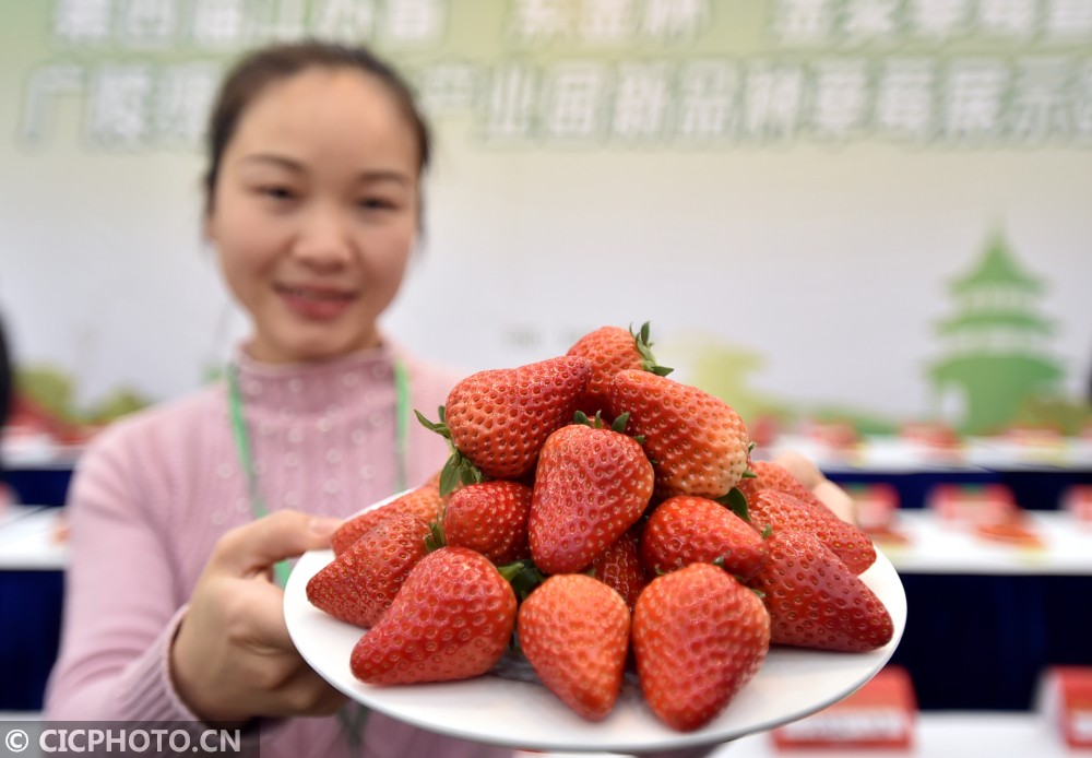 近日,第四届江苏(扬州)草莓文化节在扬州市广陵区沙头镇西江生态园